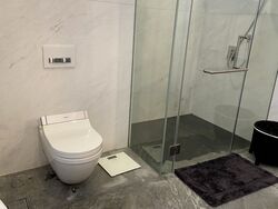 Ardmore Park (D10), Condominium #368208861